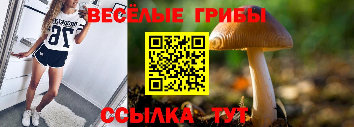 Галлюциногенные грибы Magic Shrooms Шебекино